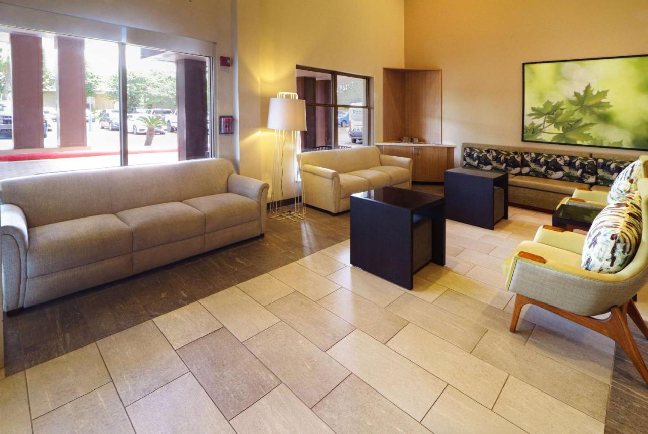 Wyndham Garden Mcallen At La Plaza Mall Екстериор снимка